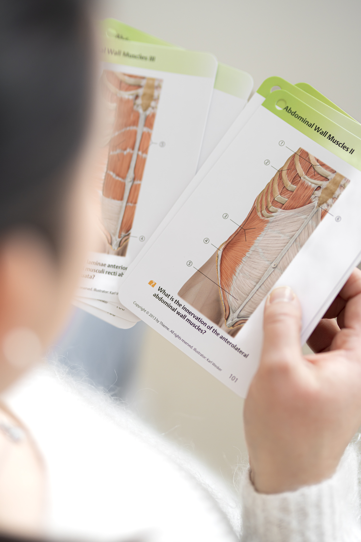 Vatsalihasten erkauma